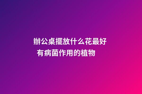 辦公桌擺放什么花最好   有病菌作用的植物
